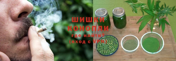 шишки Абаза