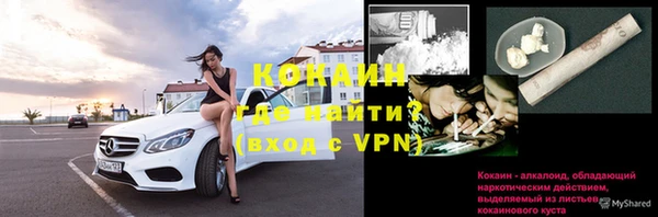 шишки Абаза