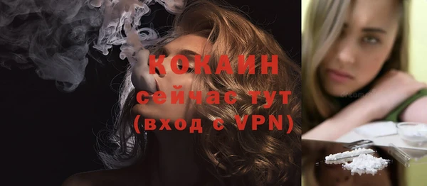шишки Абаза