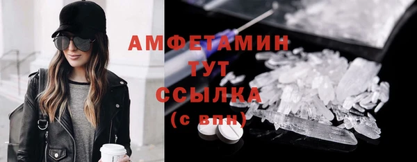 шишки Абаза