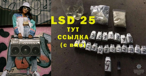 шишки Абаза