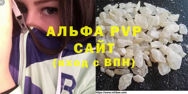 шишки Абаза