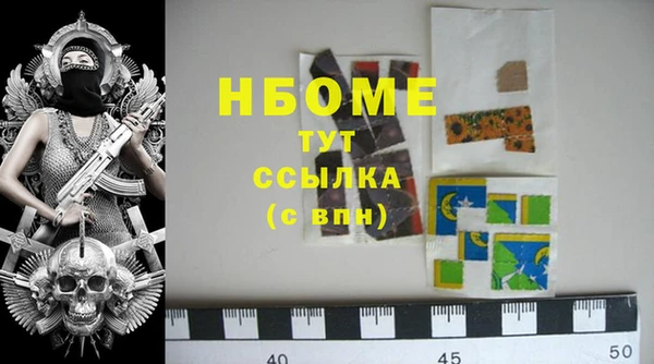 шишки Абаза
