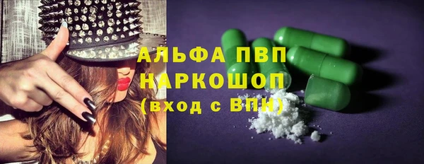 шишки Абаза
